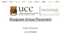 Musgrave Group plc