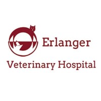 Erlanger veterinary hospital