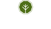 Greentree dental group