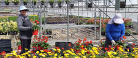 Floral Plant Growers LLC