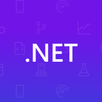 Net com development