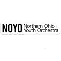Northern ohio youth orchestras