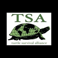 Turtle survival alliance