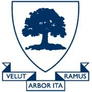 University of toronto schools