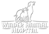 Winder animal hospital inc