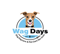 24 hour dog daycare