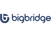 Bigbridge b.v.