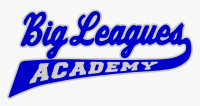 Big leagues academy