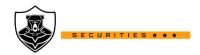 Black bear security svc