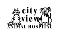 Cityview animal hospital