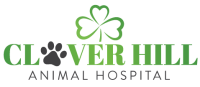 Clover hill animal hospital