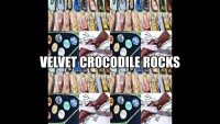 Crocodile rocks