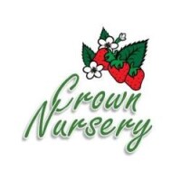 Crown nursery llc