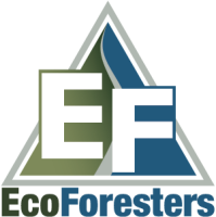 Ecoforesters