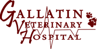 Gallatin veterinary hospital
