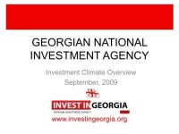 Georgian national investment agency