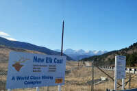 New elk coal