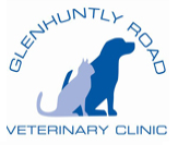Glenhuntly road veterinary clinic