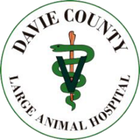Davie county hospital