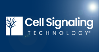 Cell Signaling Technology Europe