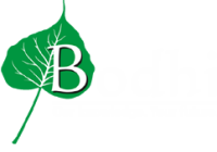 Bodhi Professional Solutions (P) Ltd