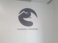 Foxhole holdings