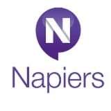 Napiers financial services
