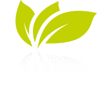 Grupo rnm