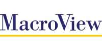 Macroview business technology