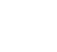 Ideia consumer insights