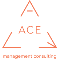 Ace associated compiler experts bv