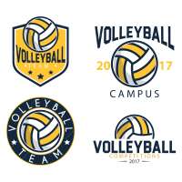 Dcoy volleyball network
