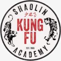 Shaolin kung fu academy