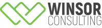 Winsor consult group