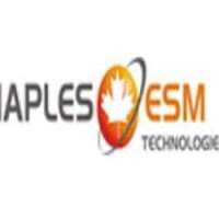 Maples esm technologies ltd