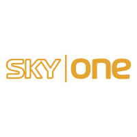 Sky one holdings limited