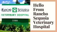 Rancho sequoia veterinary hospital