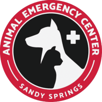 Animal emergency centre pty ltd