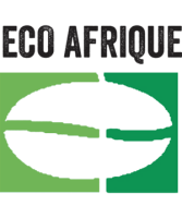 Cabinet eco afrique