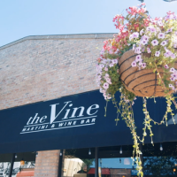 The vine - martini & wine bar