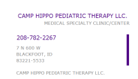 Camp hippo pediatric therapy llc
