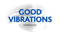 Good vibrations auto salon