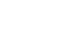 Printed image group inc