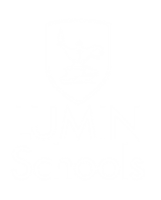 Lumin academy