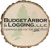 Budget arbor & logging llc