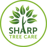 Sharp tree service