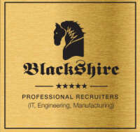 BlackShire Recruiting Services